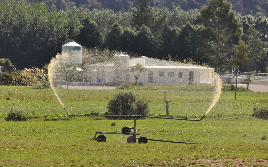 Dairy Effluent System Failures: How to Avoid Common Causes